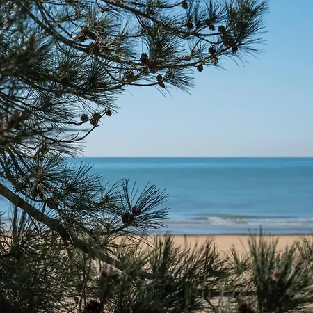 Elba, Ischia Lägenhet