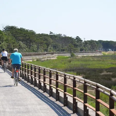 Elba, Ischia Bibione